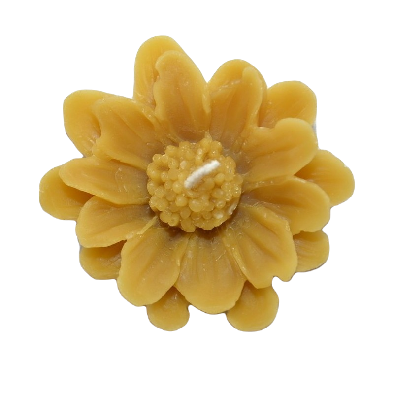 Wax candle "Floating daisy"